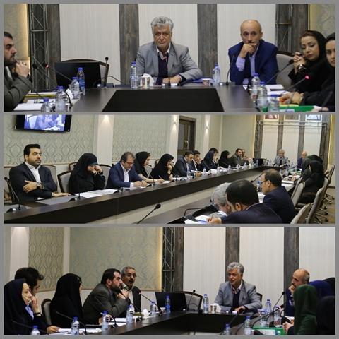 سومین کمیسیون فنی و حقوقی شورای عالی میراث فرهنگی و گردشگری برگزار شد