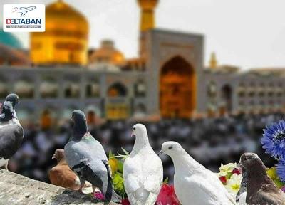 آشنایی با جذابیت های شهری مشهد