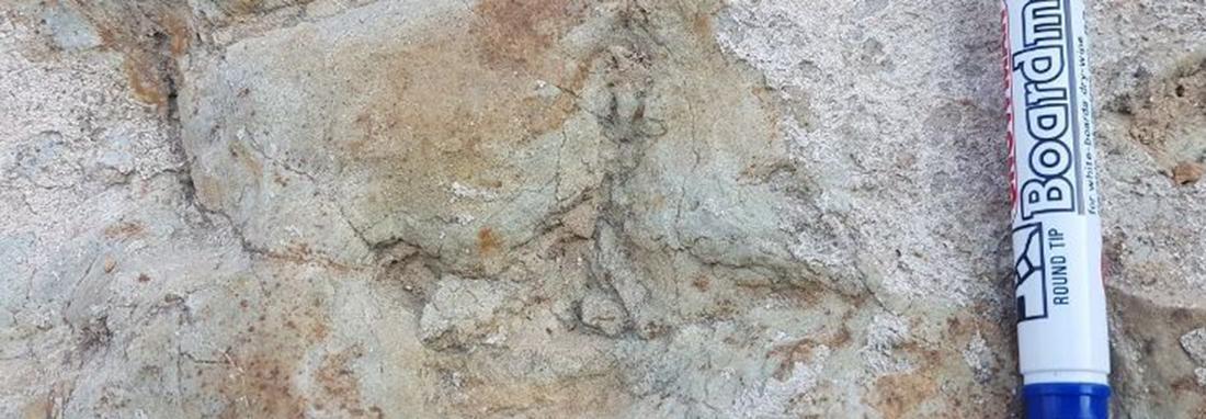 کشف ردپای دایناسورها در گلستان ، جزئیات ادعای محقق زمین شناس درباره کشف یک فسیل ، میراث فرهنگی هنوز خبر ندارد