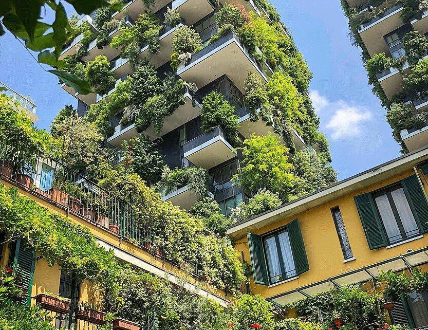 شهرهای اسفنجی چه شکلی اند؟