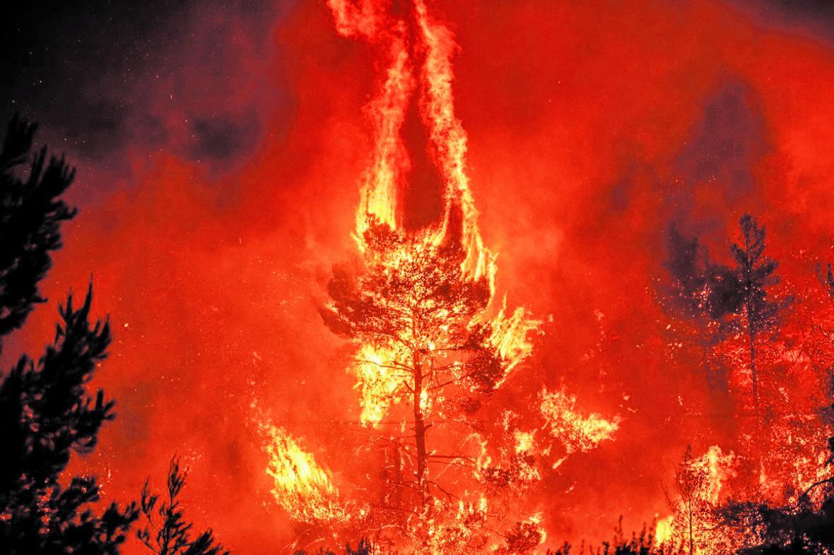 آتش سوزی جنگل های آمازون به میز سران گروه 7 رسید