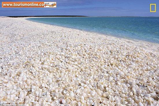 دریا درمانی در سواحل زیبای دنیا