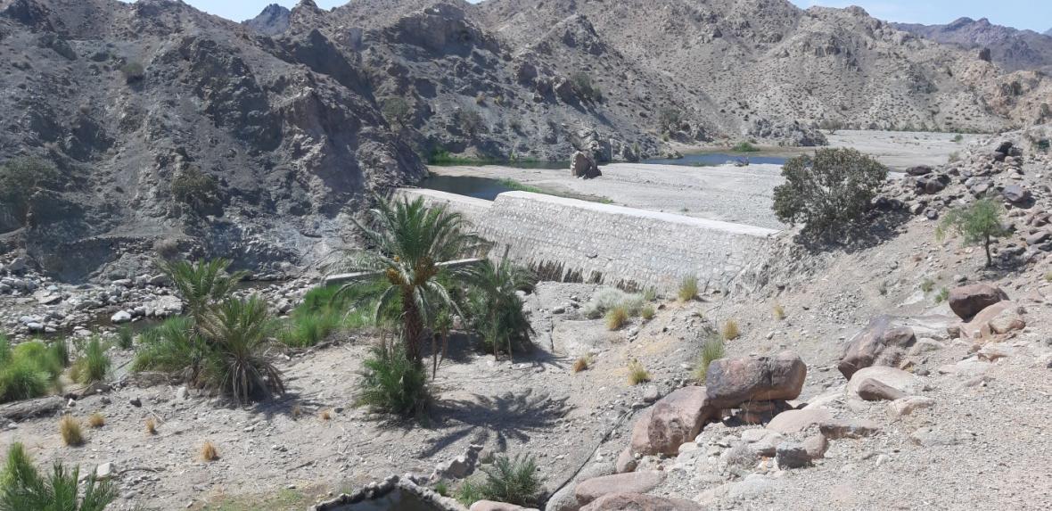 ساخت 8 سد سیمانی وسنگی در ریگان