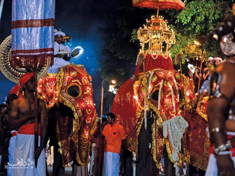 جشنواره های تماشایی سریلانکا: گزارشی جامع از جشن های فرهنگی و مذهبی