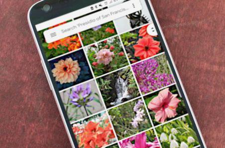 جستجوی متن، قابلیت جدید نرم افزار Google Photos جستجوی متن، قابلیت جدید نرم افزار Google Photos