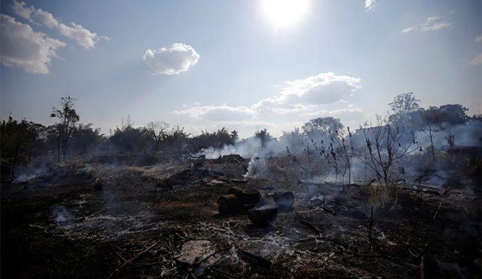 نفس های به شمارش افتاده آمازون ؛ریه های سیاه زمین ، تصاویر