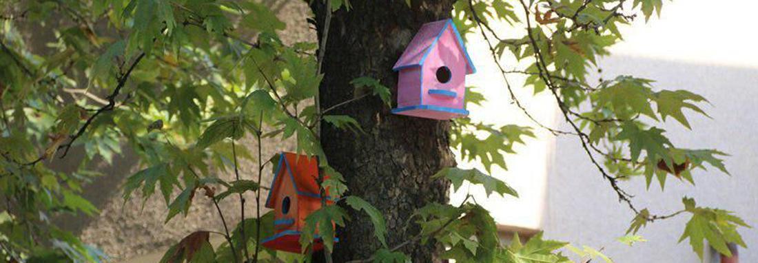 تُرک ها معماری باستان را به لانه های پرندگان آوردند ، پرندگان لاهیجان هم صاحب خانه های رنگی می شوند