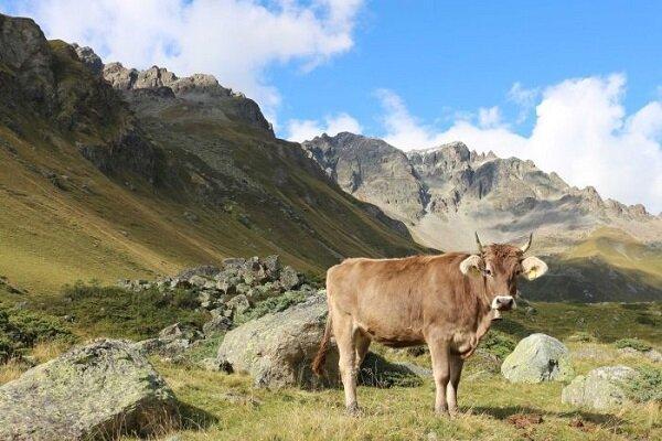 تاثیر تمدن های باستانی بر تخریب محیط زیست