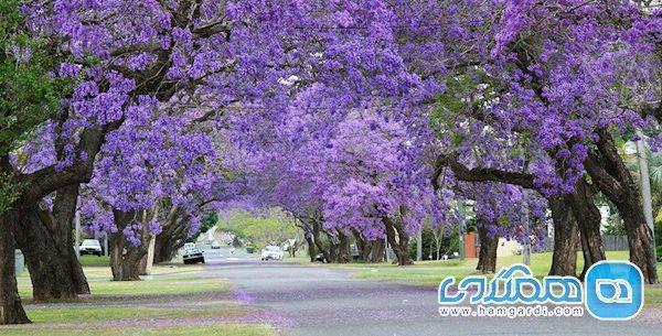 درباره بهشت روی زمین، کشور آفریقای جنوبی، بیشتر بدانیم