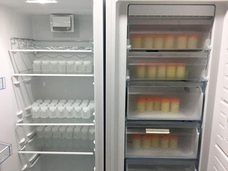 کرمانشاه صاحب بانک شیر شد