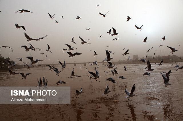 خوزستان عصرها خاکی است