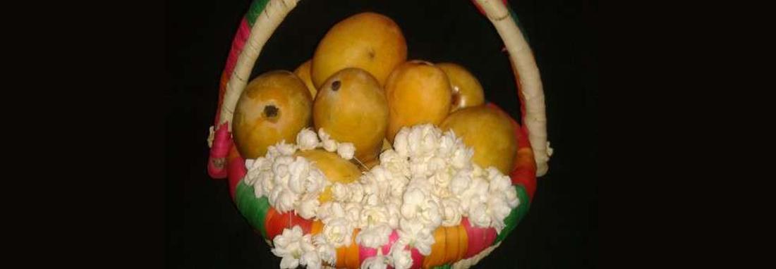 جشنواره انبه و یاسمین گل ؛ فرصتی برای معرفی شهر میناب جشنواره انبه و یاسمین گل ؛ فرصتی برای معرفی شهر میناب