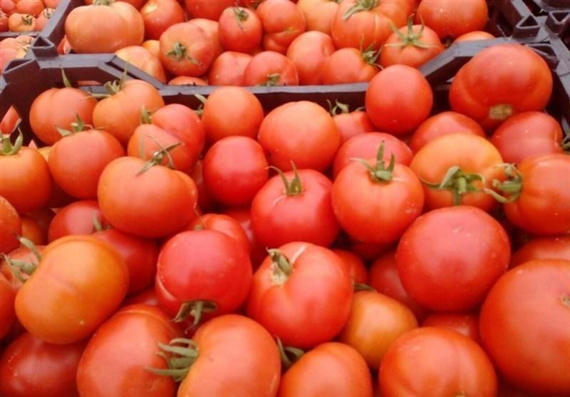 رسم عجیب جنگ برای غذا