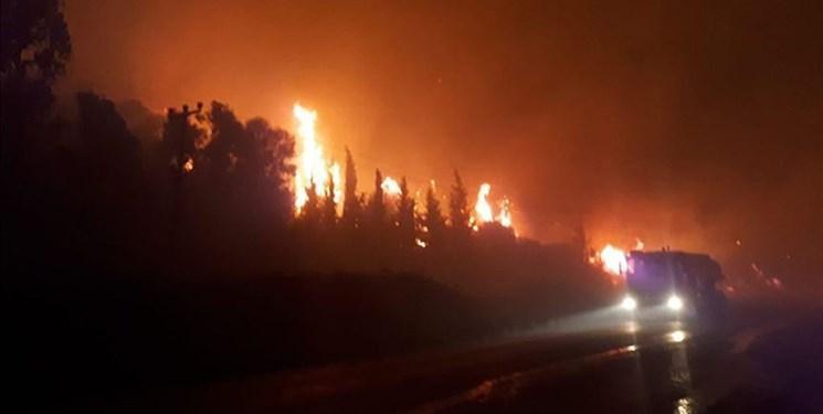 500 هکتار از اراضی جنگلی ترکیه در آتش سوخت