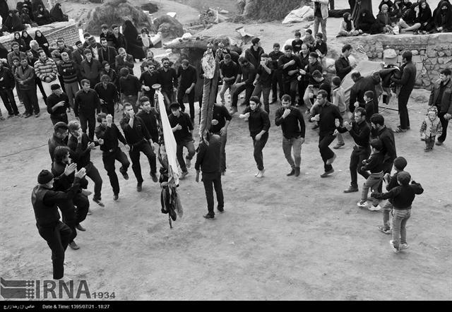 آیین سنتی شاخسی در مشگین شهر برگزار گردید