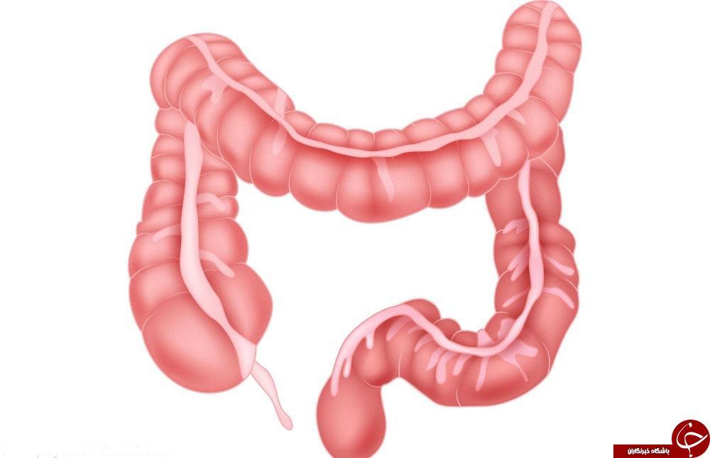 روده بزرگ چطور به وظایفش در دستگاه گوارش عمل می کند؟