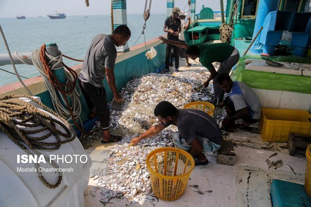 دورریختنی های ارزشمند خلیج فارس