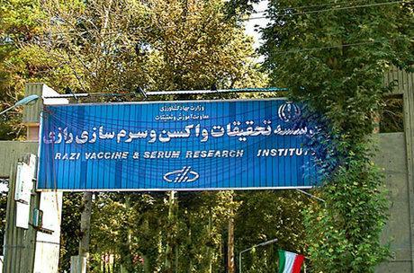 مراودات بین المللی موسسه تحقیقاتی رازی افزایش می یابد