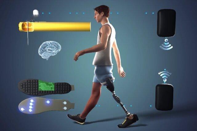 پای مصنوعی پیشرفته راه رفتن معلولان را آسان می نماید
