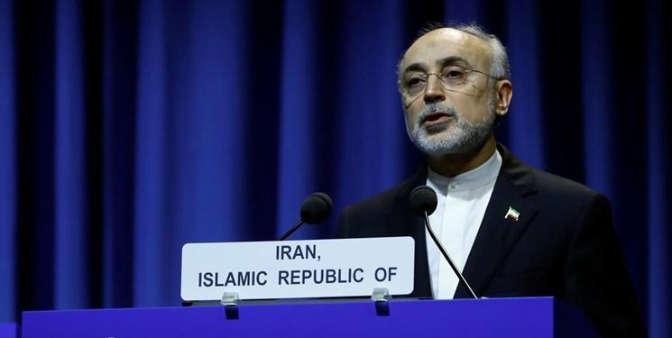 صالحی در نشست آژانس: توقف تعهدات ایران در صورت اجرای کامل برجام توسط طرف های مقابل قابل برگشت است