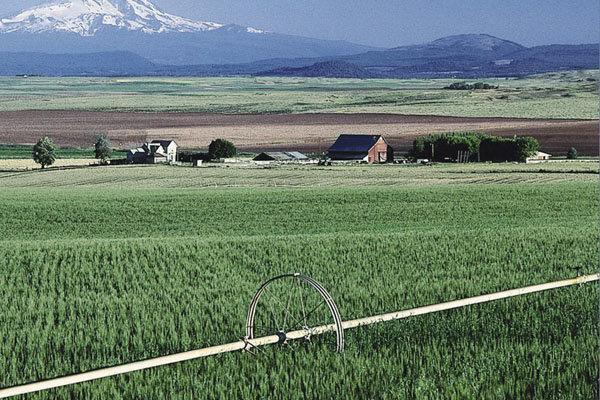 ضرورت استفاده از کشاورزی حفاظتی و ترک روش های غلط در این بخش