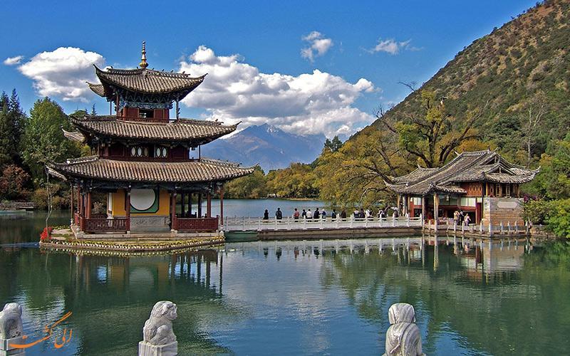 کشف حیوانی عجیب در یک قبر باستانی دانشمندان را شوکه کرد!