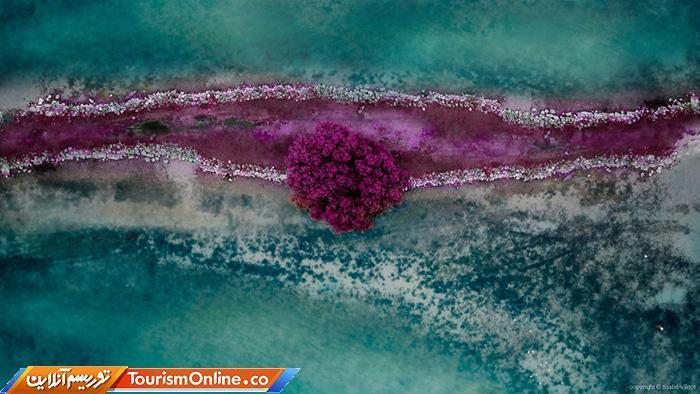 دست کاری در جاذبه های طبیعی، عادی بودن ، خسته کننده است! ، تصاویر