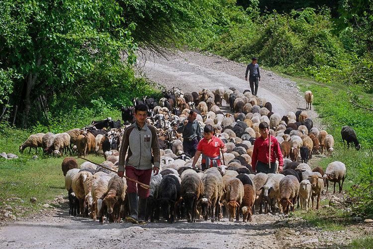 چراغ های روشن زندگی عشایر در مازندران