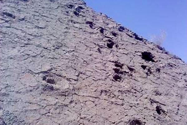 ردپاهای حیوانات عظیم الجثه در فهرست آثار ملی به ثبت رسید ردپاهای حیوانات عظیم الجثه در فهرست آثار ملی به ثبت رسید