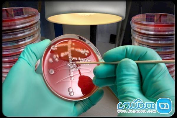 برای پیشگیری از عفونت های باکتریایی چه بخوریم؟