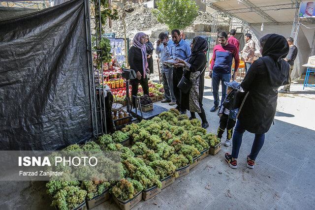 آئین شکرگزاری برداشت انگور در هزاوه برگزار گردید