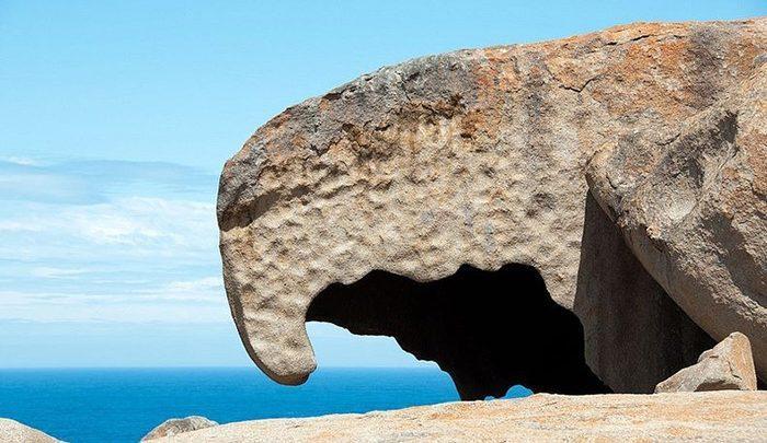 نمادهای عجیب جزیره کانگورو! ، تصاویر