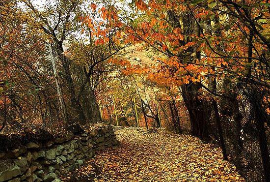 معرفی جاده های رویایی برای پاییزگردی آخر هفته