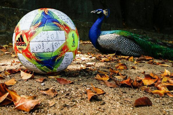 جام جهانی فوتبال زیر 17 سال به روایت تصویر