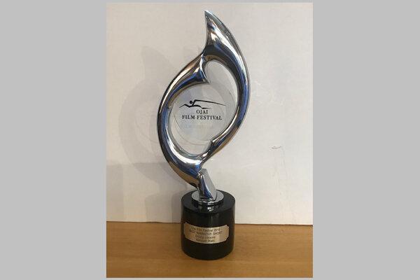 تندیس بهترین فیلم کوتاه جشنواره اوهای به کلاس رانندگی رسید