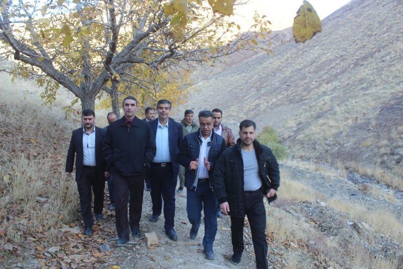 کاشت 50 تا 100 هزار اصله درخت در منطقه گردشگری دره گردو تا انتها سال
