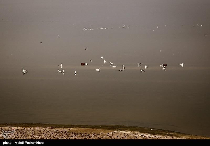 جوانانی که در عمق آب های هور آسمانی شدند