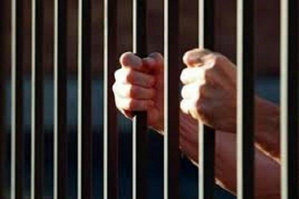 فتحی: مجازات حبس در نظام کیفری بیش از استانداردهای جهانی است