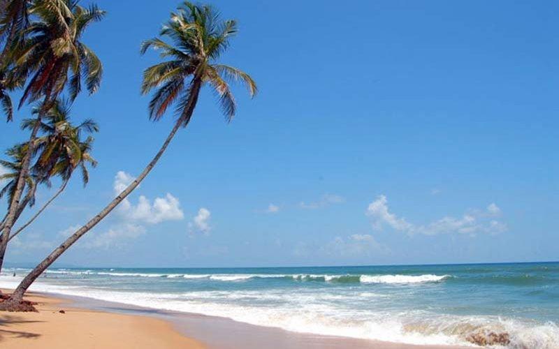 ساحل کولوا؛ ساحلی شگفت انگیز در گوا