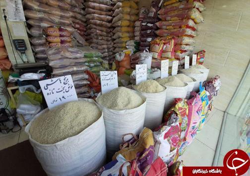 رد برنج های خارجی در سرزمین برنج ، آیا تیر خلاصی که سال جاری به واردات برنج زده شد ادامه خواهد داشت؟