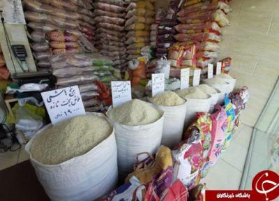 رد برنج های خارجی در سرزمین برنج ، آیا تیر خلاصی که سال جاری به واردات برنج زده شد ادامه خواهد داشت؟