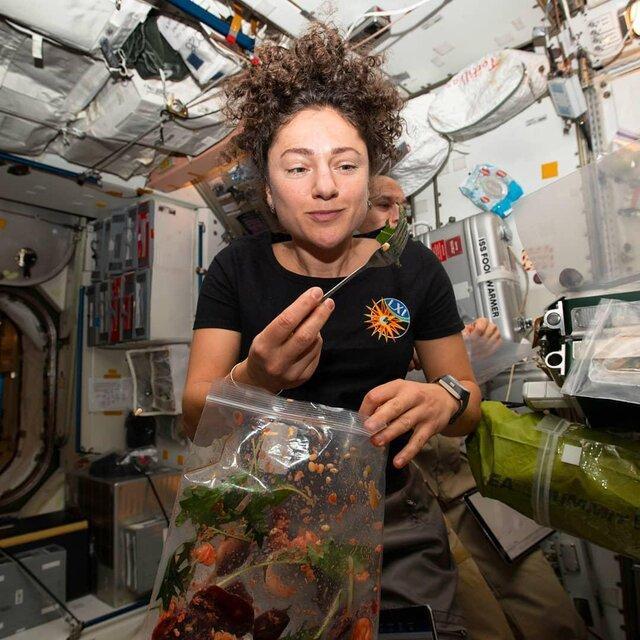 کشاورزی در ایستگاه فضایی بین المللی (