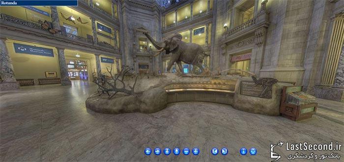 نمای پانوراما از موزه ملی تاریخ طبیعی واشنگتن