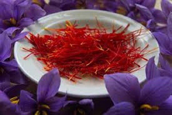 مصرف زعفران در کاهش افسردگی موثر است مصرف زعفران در کاهش افسردگی موثر است
