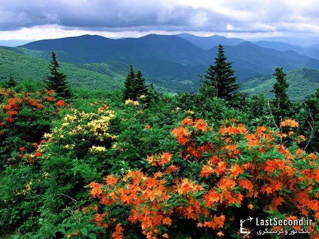 رشته کوههای آپالاچیان