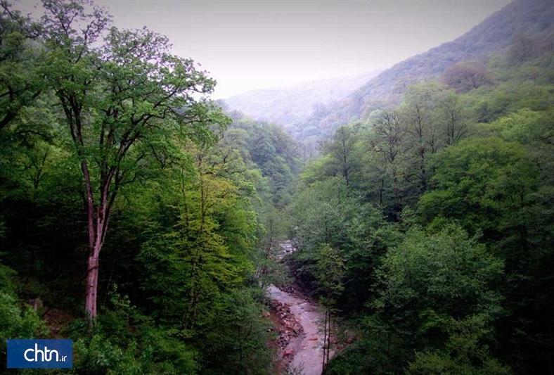 تابلوهای دوزبانه برای معرفی جنگل های هیرکانی در خراسان شمالی نصب می شود