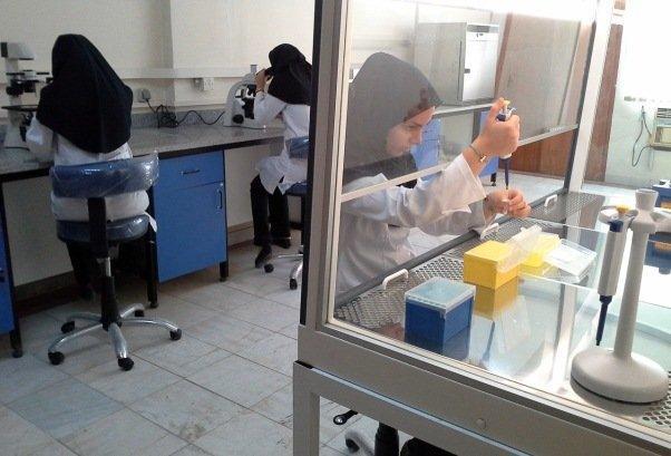 اجرای 12 طرح بین المللی در حوزه صنایع غذایی با کشورهای خارجی