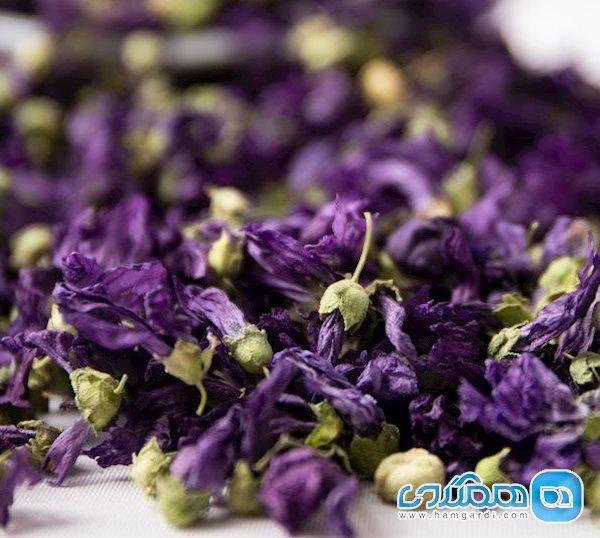 شگفتی هایی درمورد گیاه گل ختمی که نمی دانستید