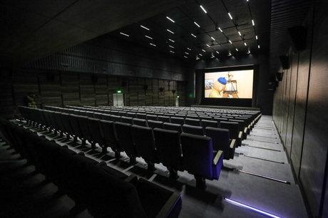 سینما حقیقت در همدان