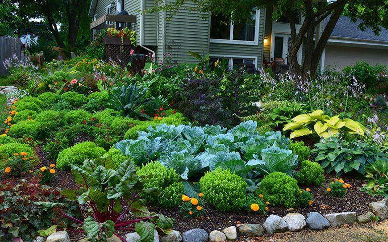 آموزش طراحی باغچه و باغبانی
